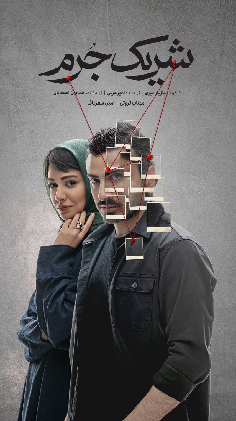 تماشای انلاین سریال «شریک جرم»