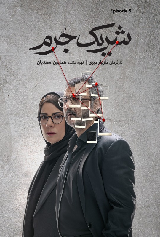 تماشای انلاین سریال «شریک جرم»