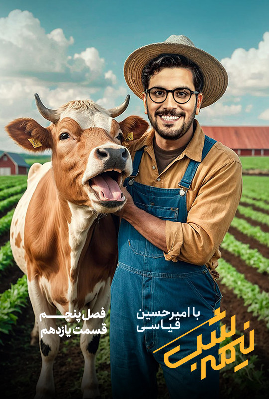 سریال نیمه شب فصل 5 قسمت یازدهم